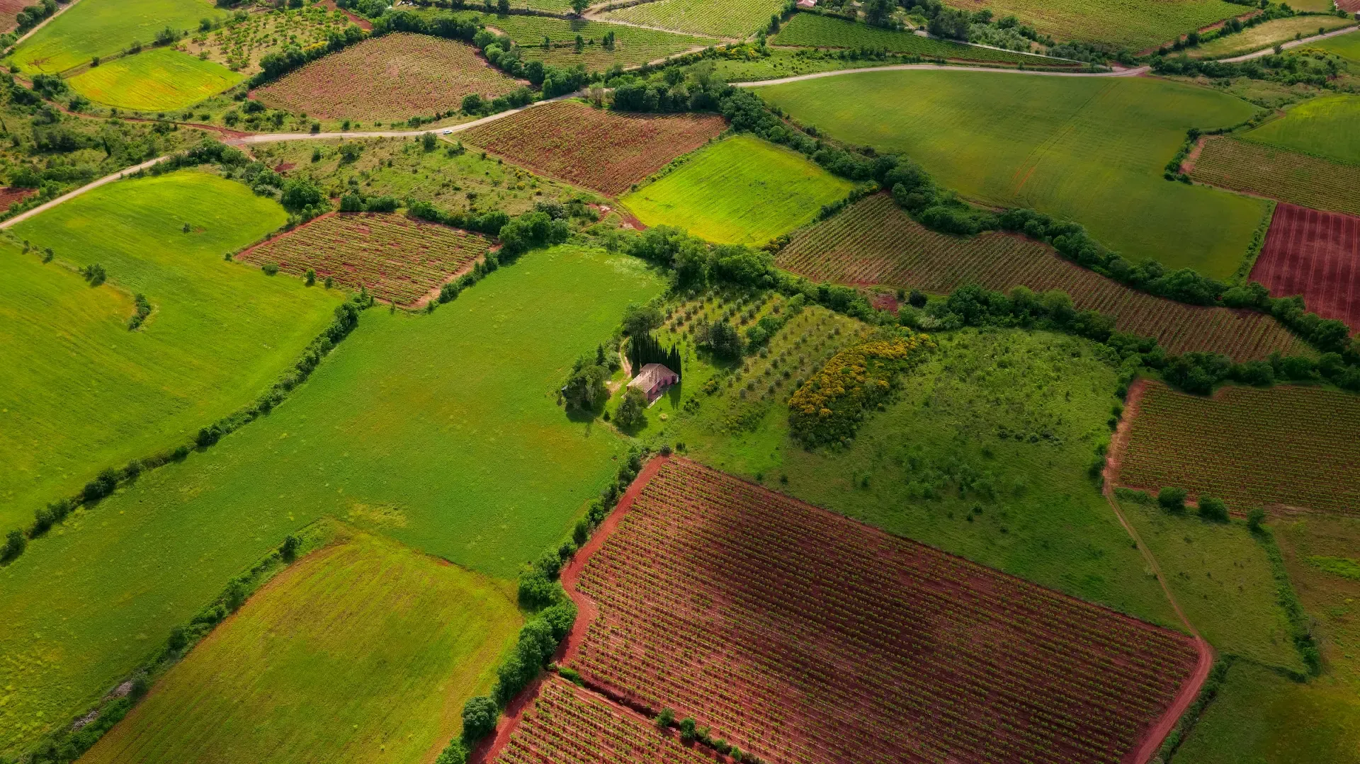Aerial view of agricultural land for registration and verification